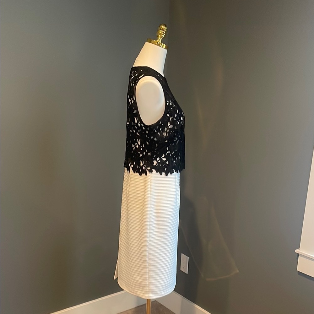 Elegant Black and White Sleeveless Dress - Picture 6 of 6